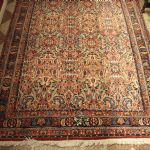 789 7744 ORIENTAL RUG